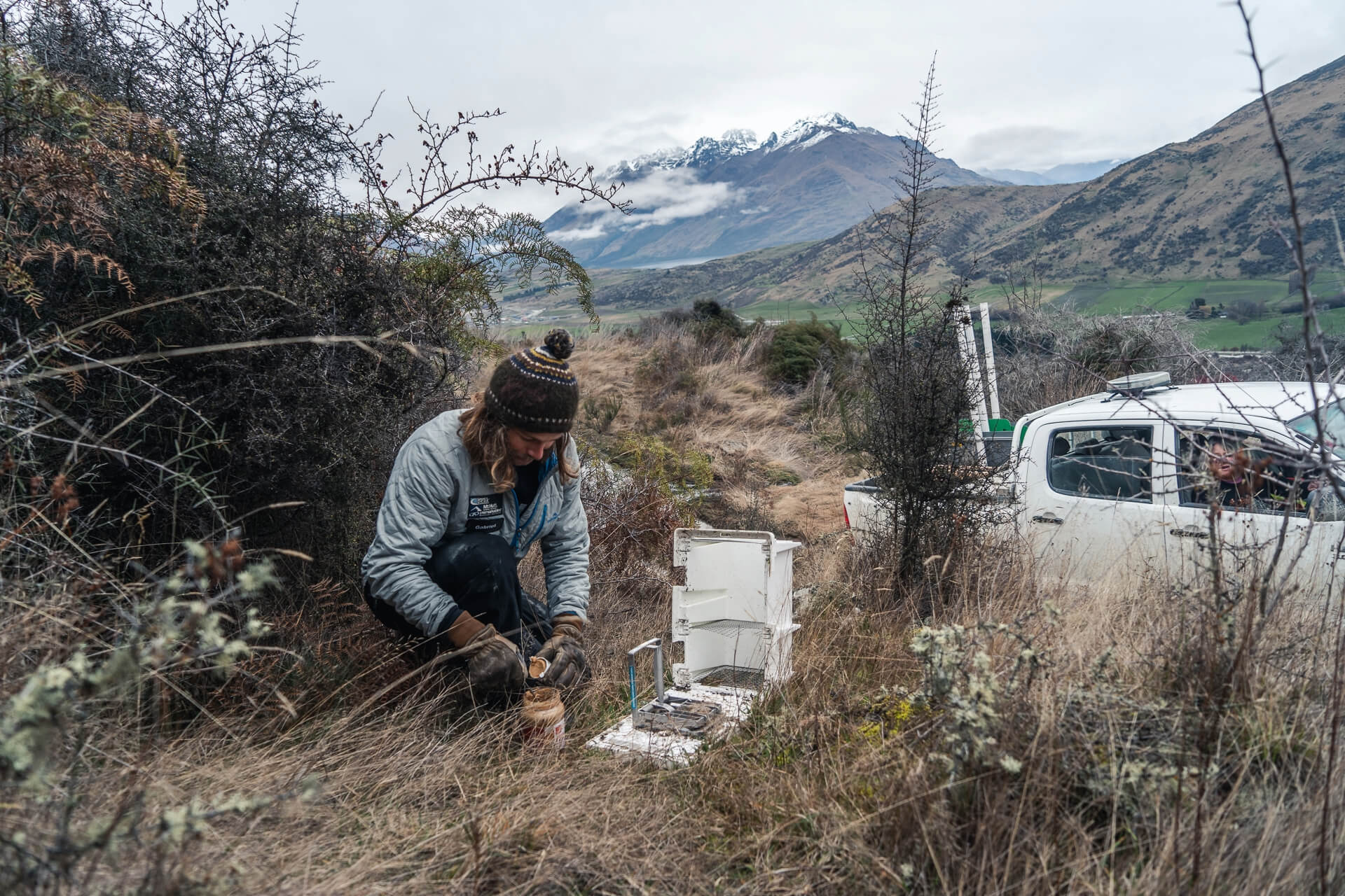 Person kneeling in dry grass setting up a pest trap, with mountains and a white truck in the background.